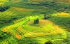 Lào Cai quê hương tôi
